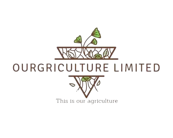 Ourgriculture Logo - Concept and vision formation
